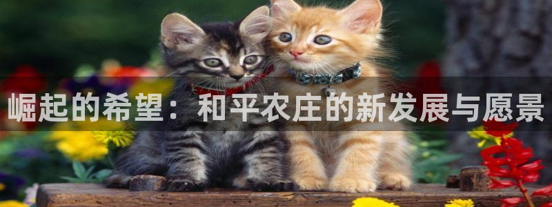天辰娱乐卡