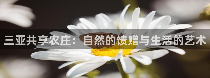 天辰娱乐分红