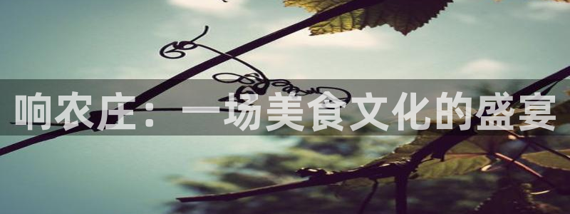 天辰娱乐地址