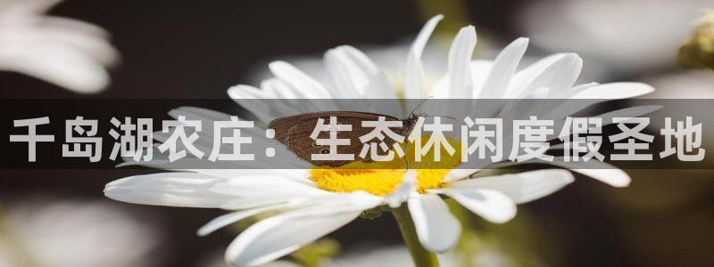 天辰娱乐厕所