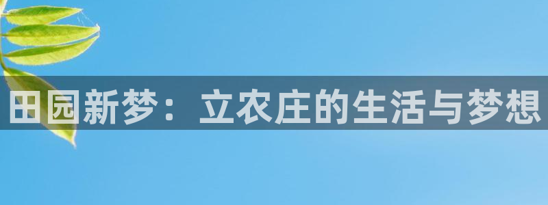 天辰娱乐上级