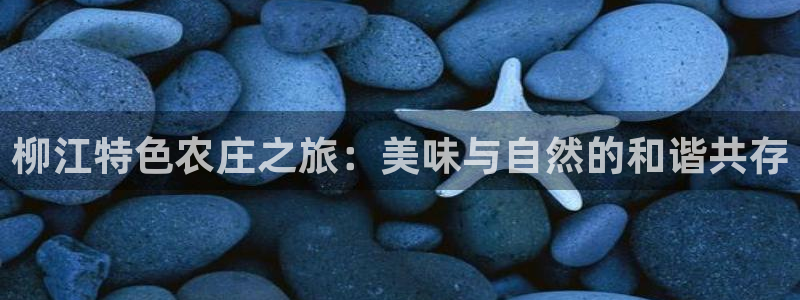 天辰娱乐1966