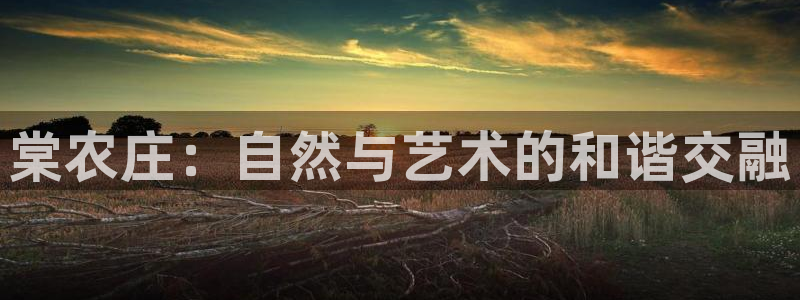 天辰娱乐app