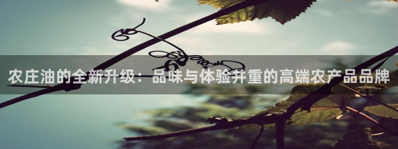 天辰娱乐平台app下载