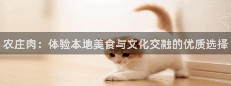 天辰娱乐指尖所