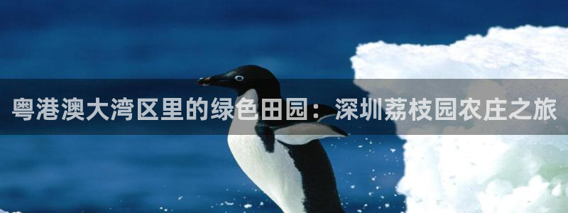 天辰娱乐黑人