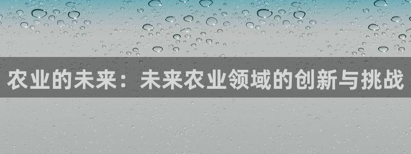 天辰娱乐小姐