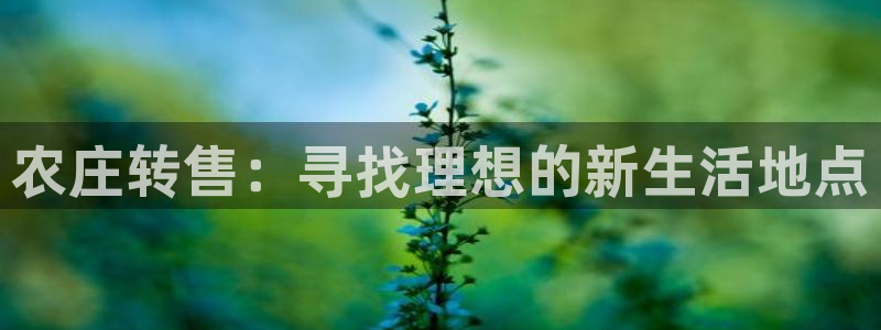 天辰娱乐在哪