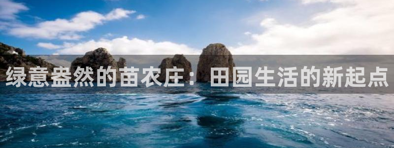 天辰娱乐游戏平台怎么样