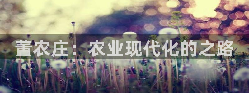 天辰娱乐直属