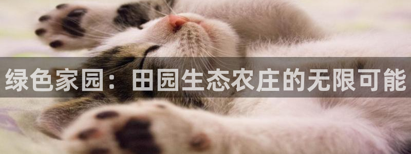 天辰娱乐怎么样