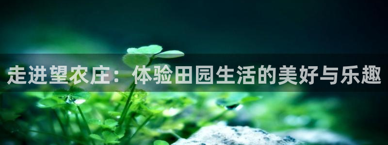 天辰娱乐下载地址
