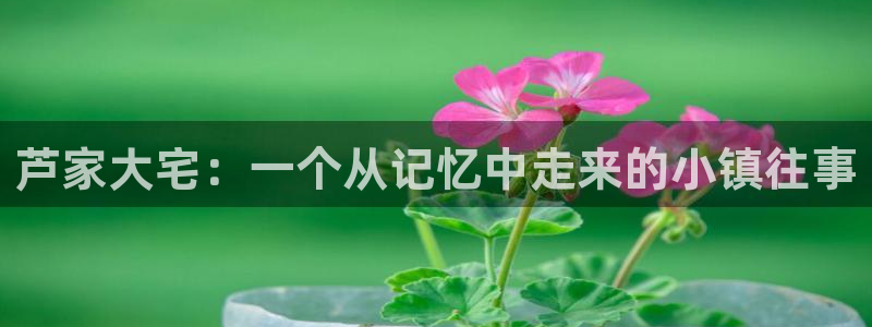 天辰娱乐主页