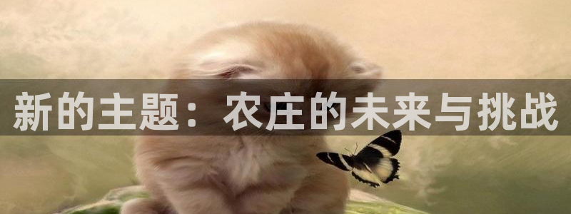 天辰宝宝娱乐