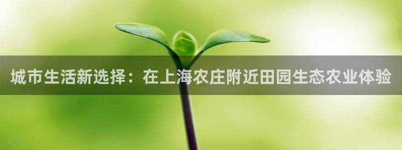 天辰娱乐上级