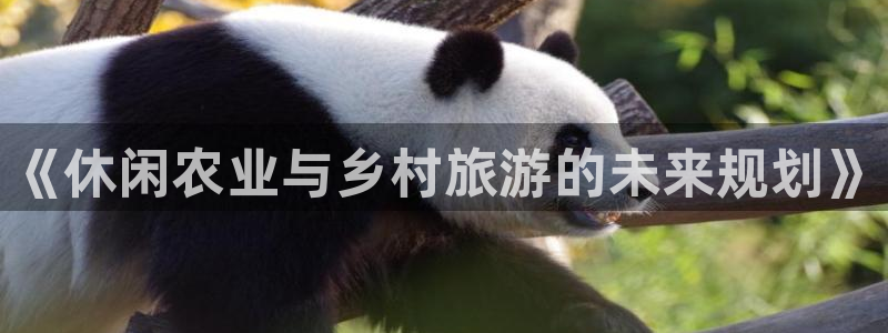 天辰娱乐 主管
