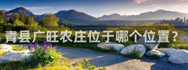 天辰彩票娱乐