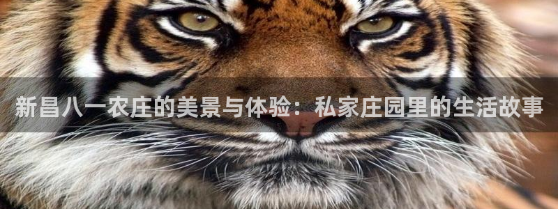 天辰娱乐 . 鱼刺