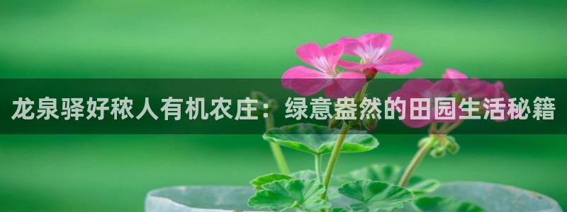 天辰娱乐53551