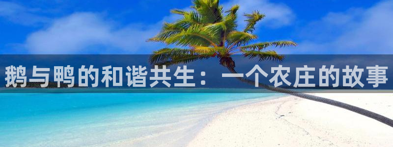 天辰娱乐平台入口