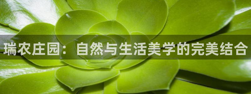 天辰娱乐跑的快