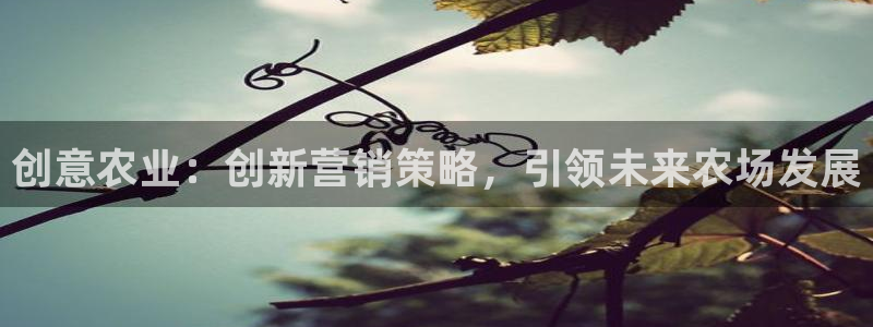 天辰娱乐 天辰平台
