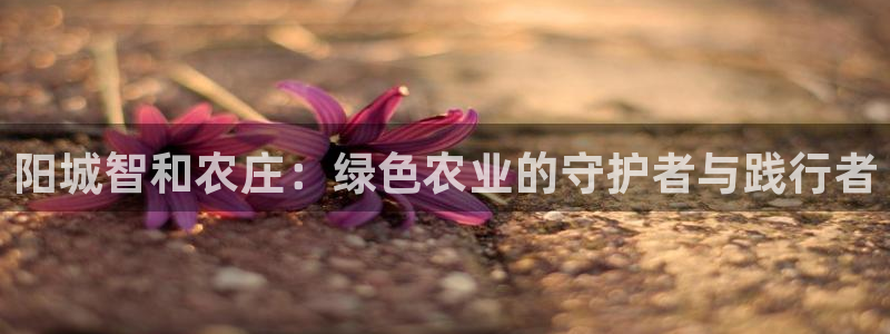 天辰娱乐指尖所