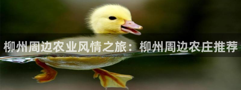 天辰娱乐棋牌