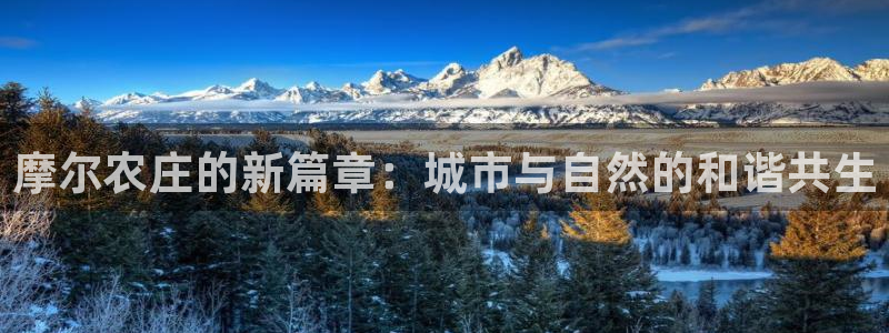 天辰团队贝高娱乐
