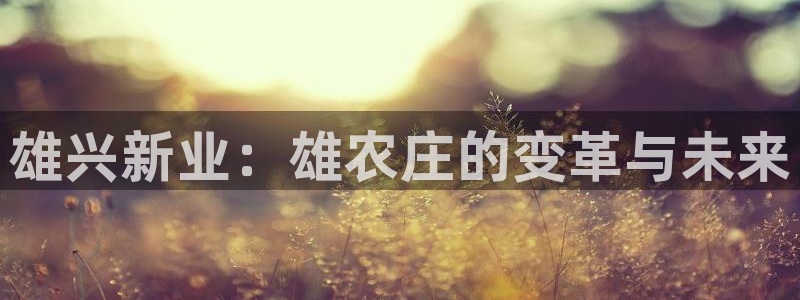 天辰娱乐60447