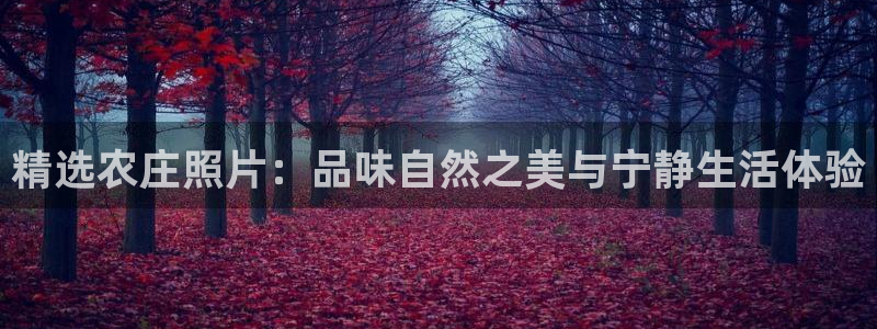 天辰娱乐扣钱