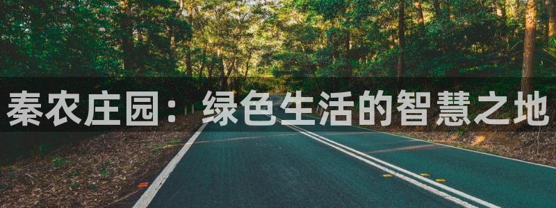 天辰娱乐下载地址