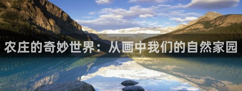 天辰娱乐在线