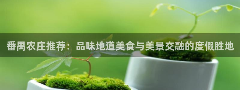 天辰娱乐棋牌