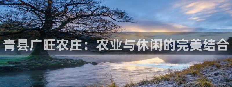 天辰娱乐-q