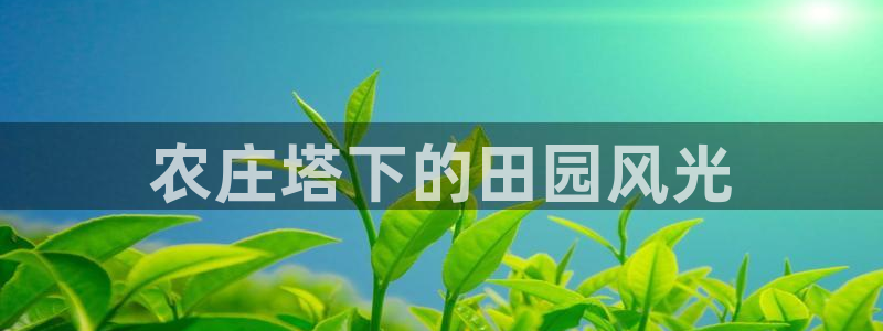 天辰娱乐论坛