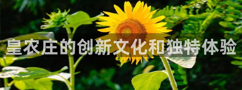 天辰娱乐十分彩