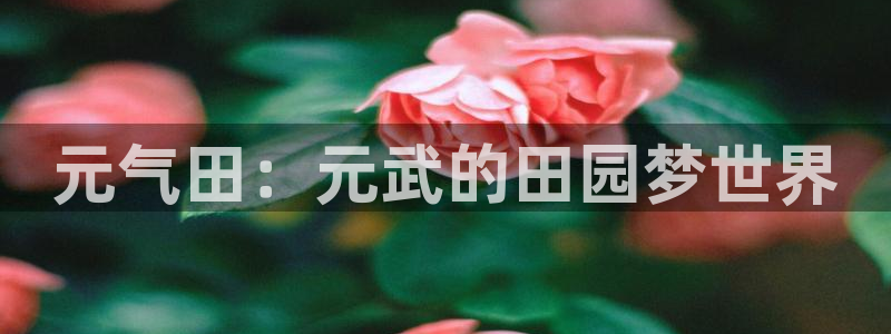 天辰娱乐best