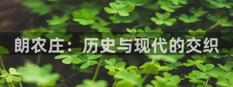 天辰娱乐小姐