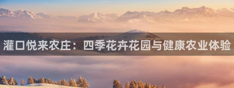 天辰娱乐直属