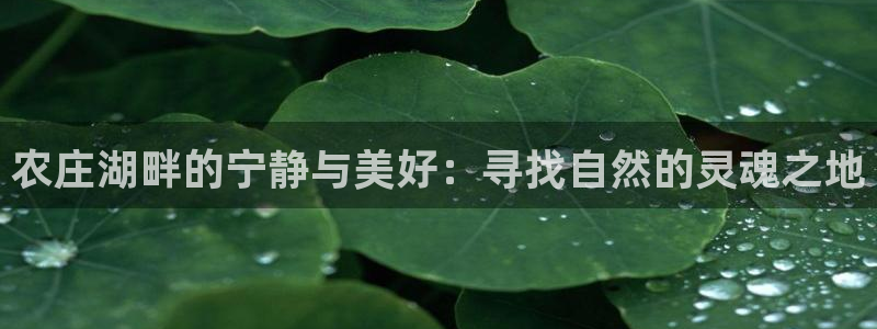 广东天辰娱乐