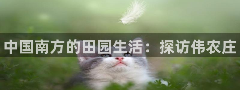 天辰水娱乐