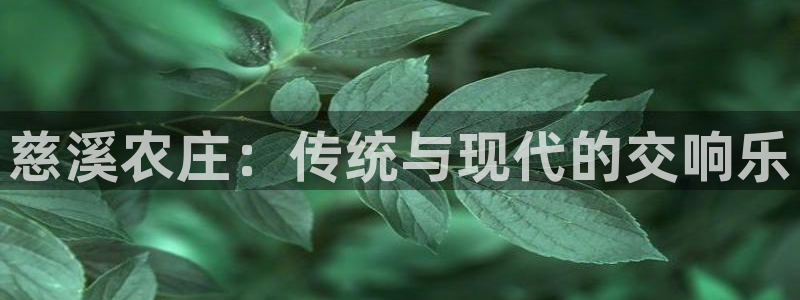 天辰娱乐1996