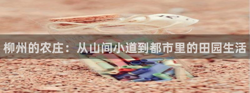 天辰娱乐557696