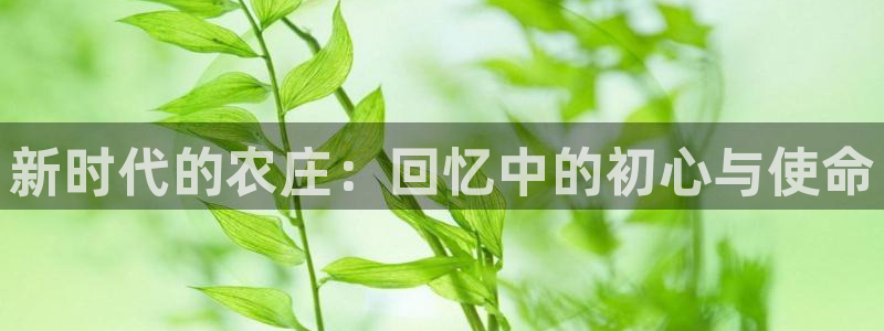 天辰娱乐7天22650
