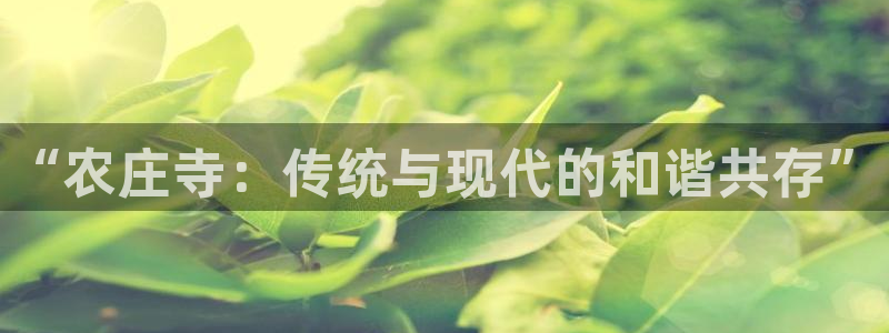 天辰娱乐728567