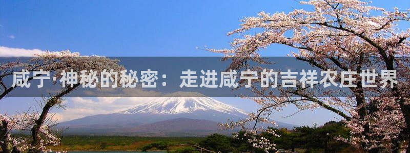 天辰娱乐22650