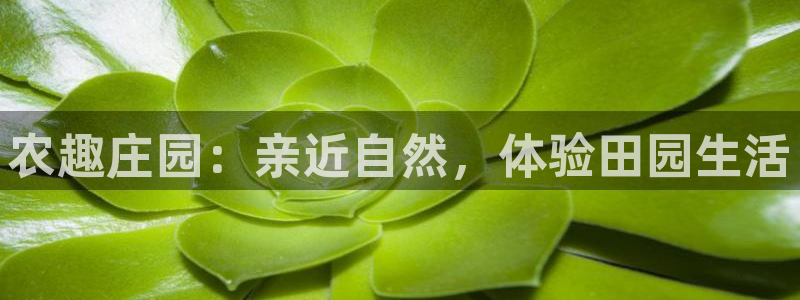 天辰娱乐的网址首页