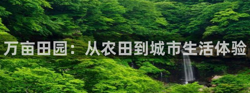 天辰娱乐软件