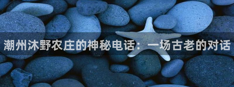 天辰娱乐指定